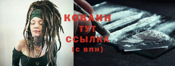 дмт Кодинск