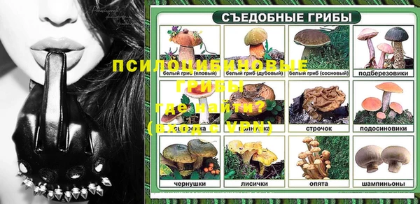 дмт Кодинск
