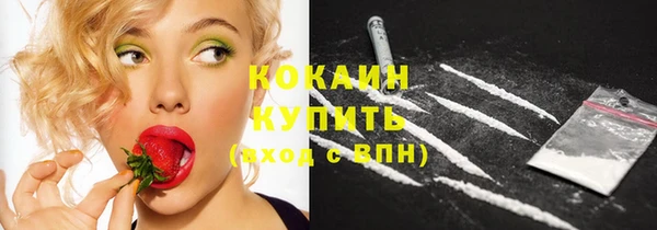 дмт Кодинск