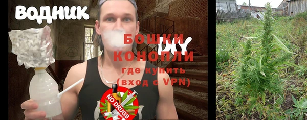 дмт Кодинск