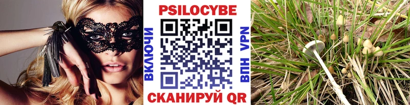 Галлюциногенные грибы GOLDEN TEACHER Купить закладки Кропоткин